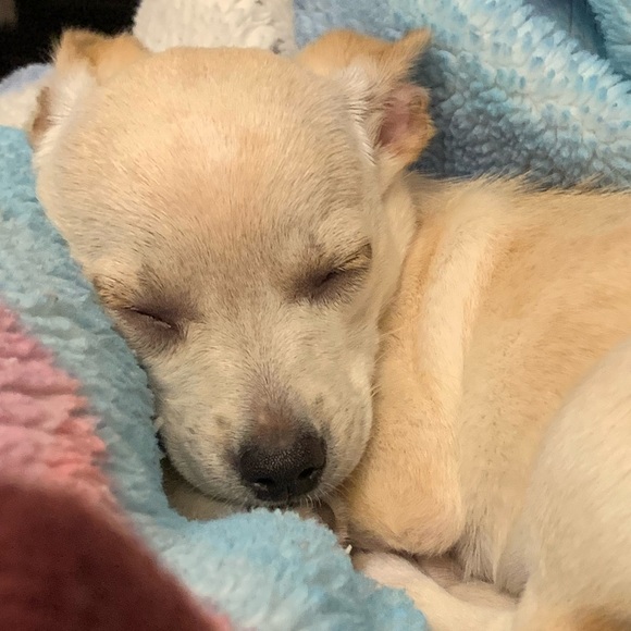 Meet your Posher, Allie Spry - Picture 1 of 1